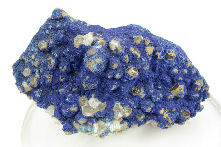 Vibrant Azurite on Quartz Crystals - China #252074